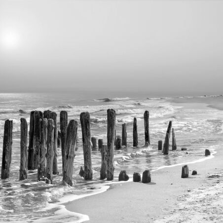 Buhnen - Rantum, Sylt