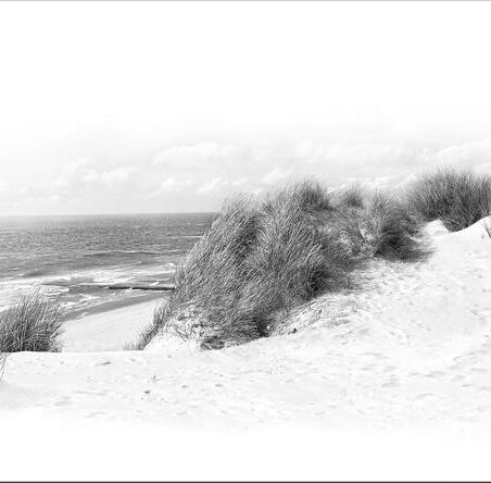 Dunes and Sea by K. Hoffmann