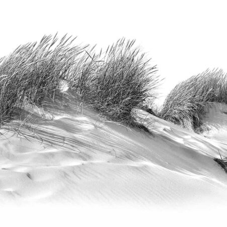Dunes - Dünenkamm