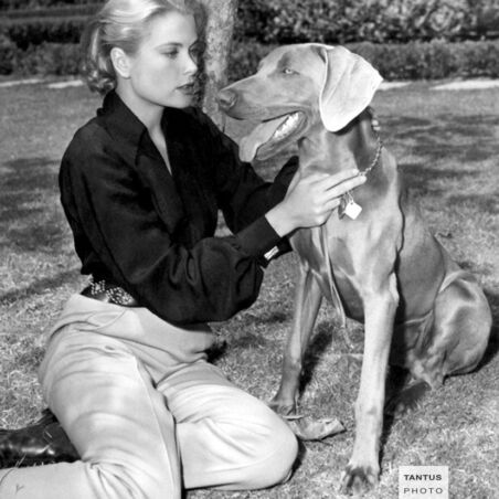 Grace Kelly mit ihrem Weimaraner