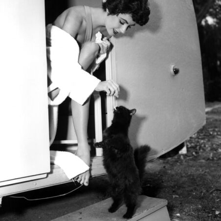 Liz Taylor on Set
