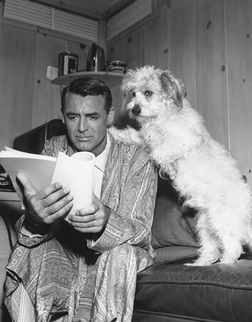 Cary Grant mit Hund am Set