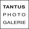 Tantus Photo Galerie KG | Hamburg Logo